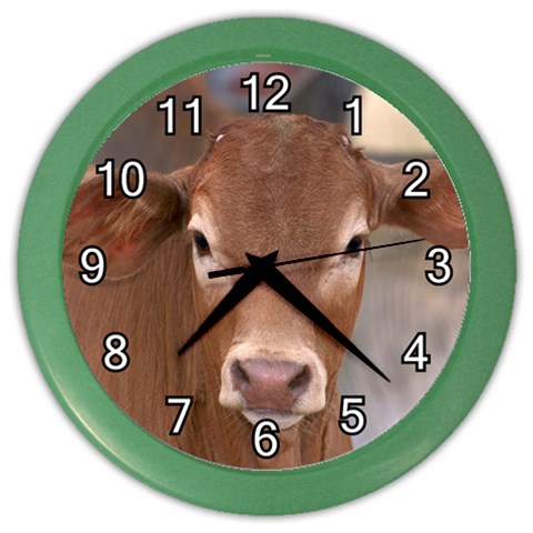 Brown Cow  0003 Color Wall Clock from ArtsNow.com Front