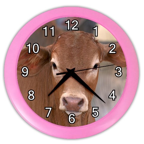 Brown Cow  0003 Color Wall Clock from ArtsNow.com Front