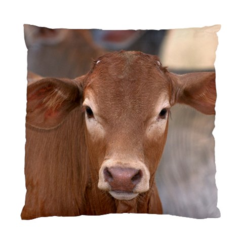 Brown Cow  0003 Cushion Case (Two Sides) from ArtsNow.com Front