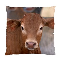 Brown Cow  0003 Cushion Case (Two Sides) from ArtsNow.com Front