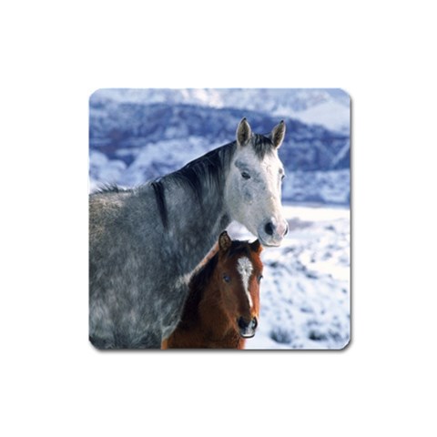 Winter Horses 0004 Magnet (Square) from ArtsNow.com Front