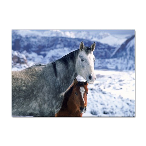 Winter Horses 0004 Sticker A4 (10 pack) from ArtsNow.com Front