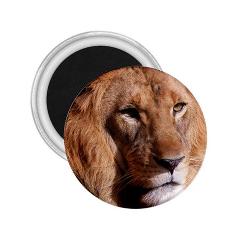 Lion 0006 2.25  Magnet from ArtsNow.com Front