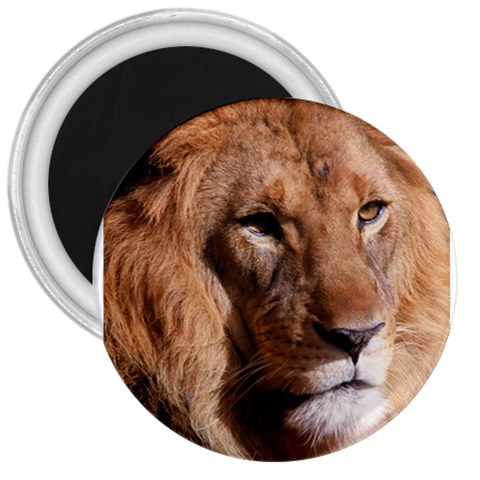 Lion 0006 3  Magnet from ArtsNow.com Front