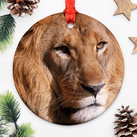 Lion 0006 Ornament (Round) from ArtsNow.com Front