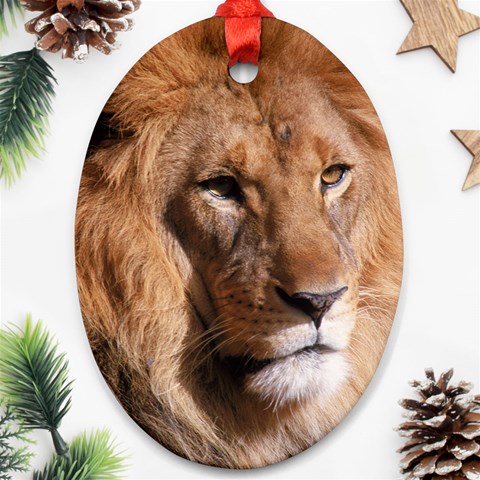 Lion 0006 Ornament (Oval) from ArtsNow.com Front