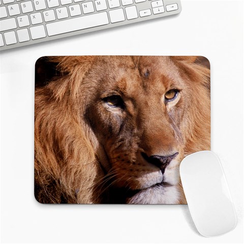 Lion 0006 Large Mousepad from ArtsNow.com Front