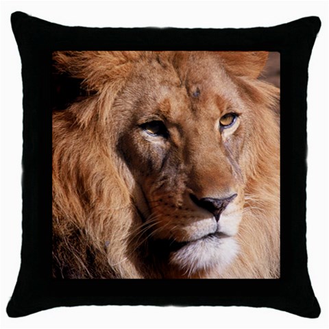 Lion 0006 Throw Pillow Case (Black) from ArtsNow.com Front