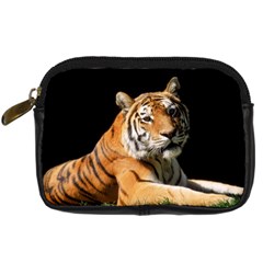 Tiger 0007 Digital Camera Leather Case from ArtsNow.com Front