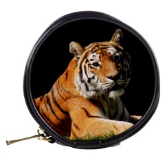 Tiger 0007 Mini Makeup Bag from ArtsNow.com Back