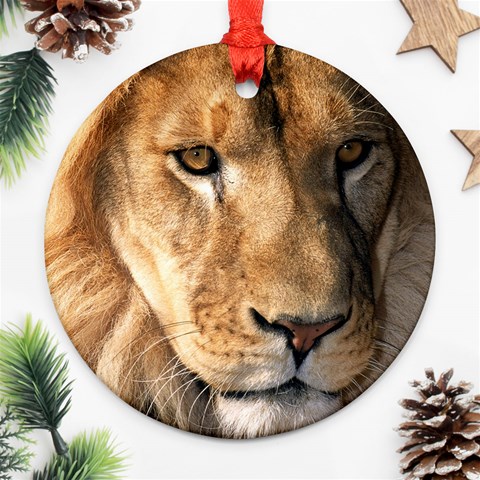 Lion 0008 Ornament (Round) from ArtsNow.com Front