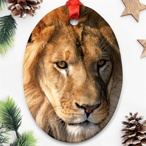 Lion 0008 Ornament (Oval) from ArtsNow.com Front