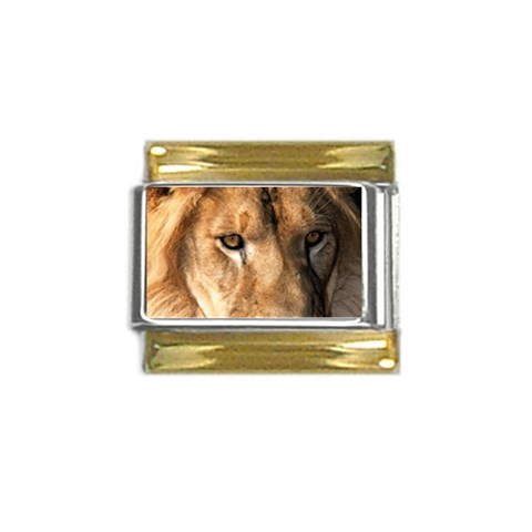 Lion 0008 Gold Trim Italian Charm (9mm) from ArtsNow.com Front