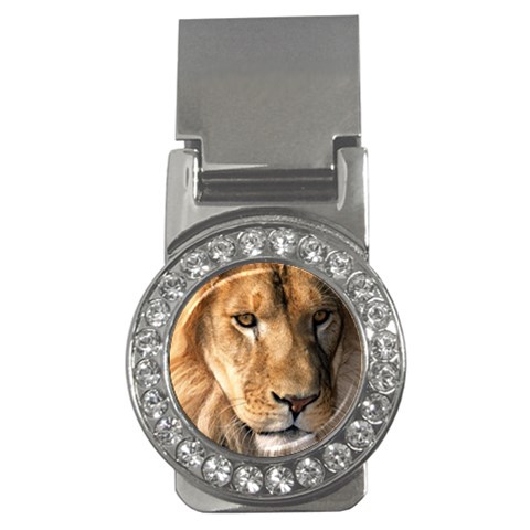 Lion 0008 Money Clip (CZ) from ArtsNow.com Front