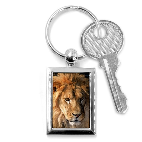 Lion 0008 Key Chain (Rectangle) from ArtsNow.com Front