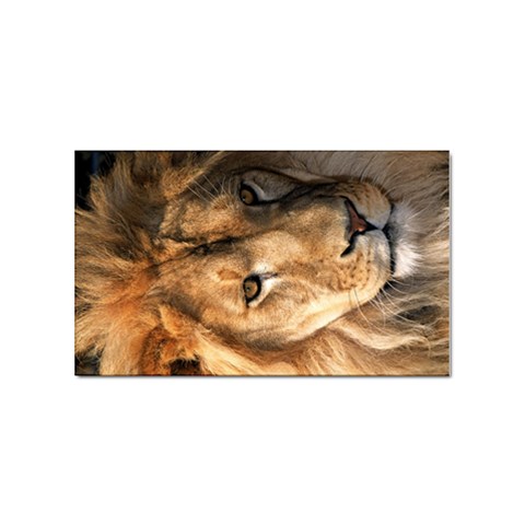 Lion 0008 Sticker (Rectangular) from ArtsNow.com Front