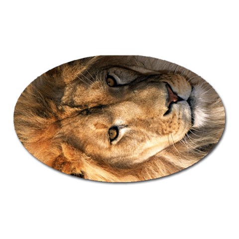 Lion 0008 Magnet (Oval) from ArtsNow.com Front