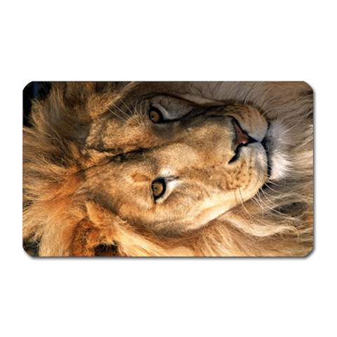 Lion 0008 Magnet (Rectangular) from ArtsNow.com Front