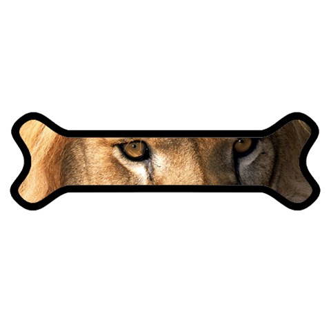 Lion 0008 Magnet (Dog Bone) from ArtsNow.com Front