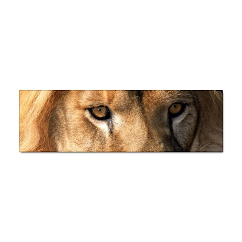 Lion 0008 Sticker Bumper (10 pack) from ArtsNow.com Front