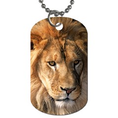 Lion 0008 Dog Tag (Two Sides) from ArtsNow.com Front