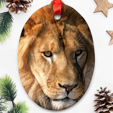 Lion 0008 Oval Ornament (Two Sides) from ArtsNow.com Front