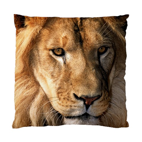 Lion 0008 Cushion Case (One Side) from ArtsNow.com Front