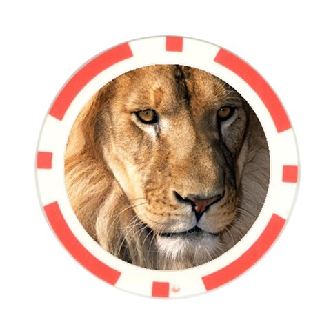 Lion 0008 Poker Chip Card Guard (10 pack) from ArtsNow.com Front