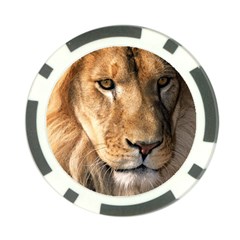 Lion 0008 Poker Chip Card Guard (10 pack) from ArtsNow.com Front