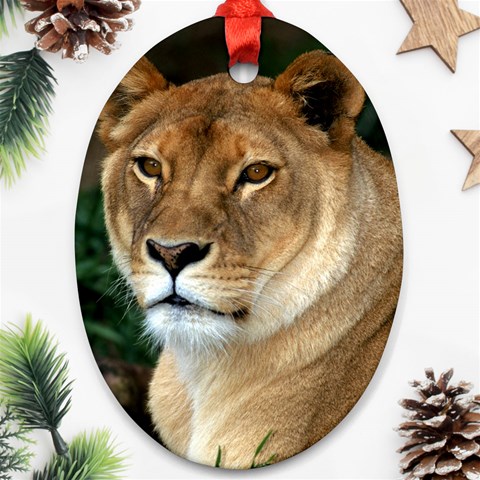 Lioness 0009 Ornament (Oval) from ArtsNow.com Front