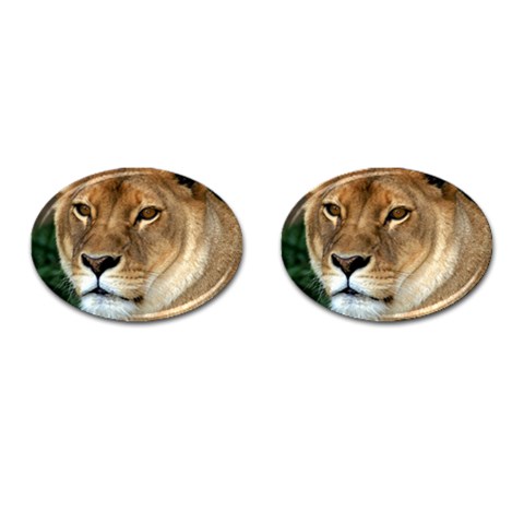 Lioness 0009 Cufflinks (Oval) from ArtsNow.com Front(Pair)