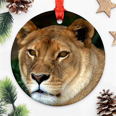 Lioness 0009 Round Ornament (Two Sides) from ArtsNow.com Front