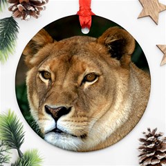 Lioness 0009 Round Ornament (Two Sides) from ArtsNow.com Front