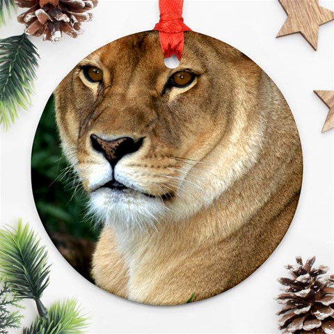 Lioness 0009 Round Ornament (Two Sides) from ArtsNow.com Back