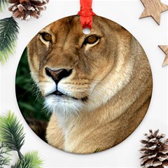 Lioness 0009 Round Ornament (Two Sides) from ArtsNow.com Back