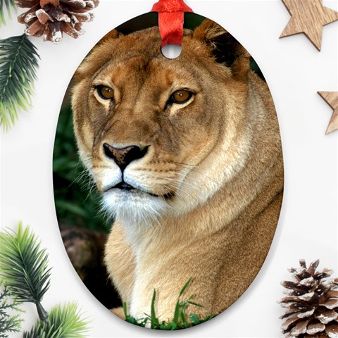 Lioness 0009 Oval Ornament (Two Sides) from ArtsNow.com Back