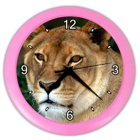 Lioness 0009 Color Wall Clock from ArtsNow.com Front