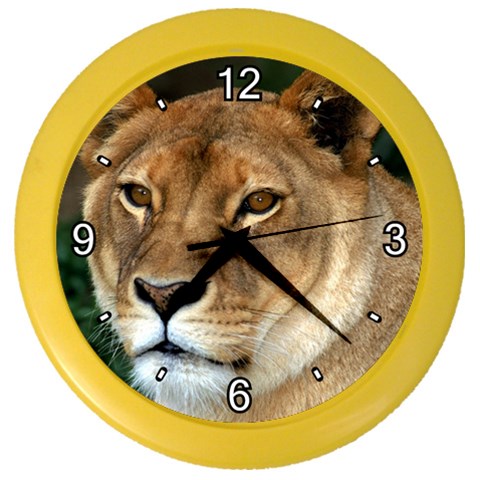 Lioness 0009 Color Wall Clock from ArtsNow.com Front