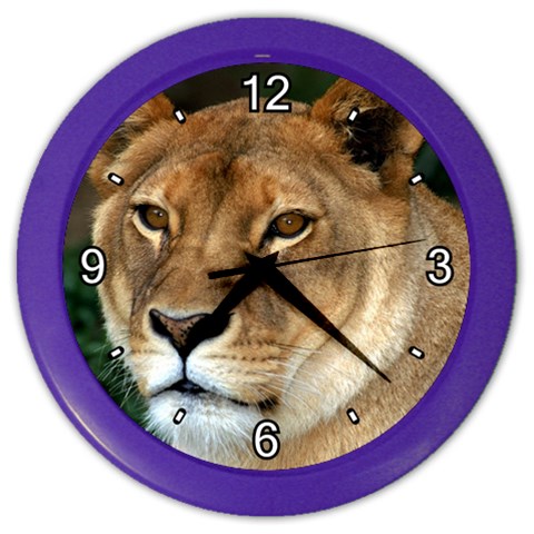 Lioness 0009 Color Wall Clock from ArtsNow.com Front