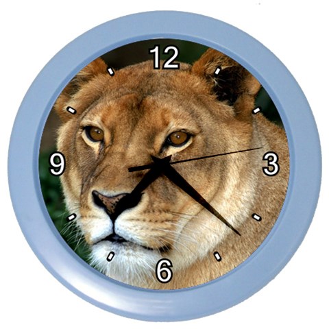 Lioness 0009 Color Wall Clock from ArtsNow.com Front