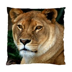 Lioness 0009 Cushion Case (Two Sides) from ArtsNow.com Front