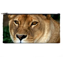 Lioness 0009 Pencil Case from ArtsNow.com Front