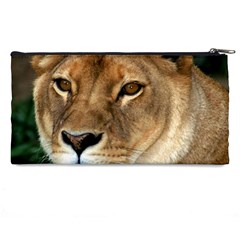 Lioness 0009 Pencil Case from ArtsNow.com Back