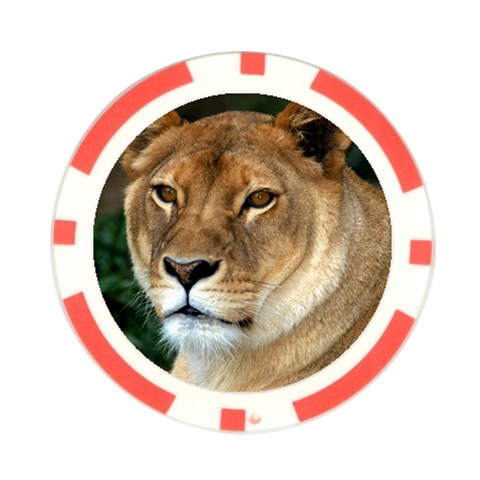 Lioness 0009 Poker Chip Card Guard (10 pack) from ArtsNow.com Front