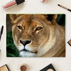 Lioness 0009 Cosmetic Bag (XL) from ArtsNow.com Back