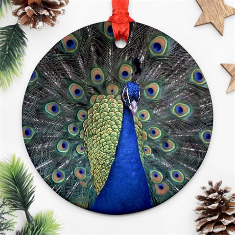 Peocock 0010 Ornament (Round) from ArtsNow.com Front