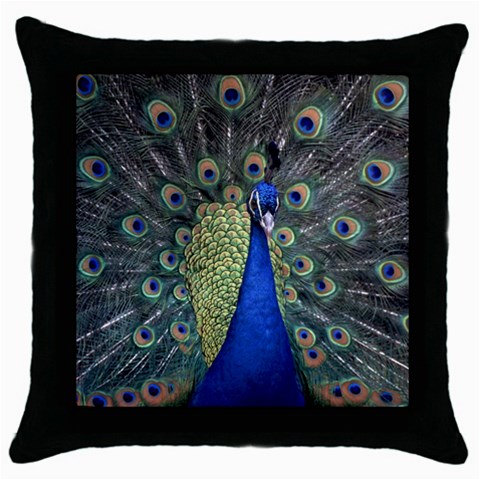 Peocock 0010 Throw Pillow Case (Black) from ArtsNow.com Front