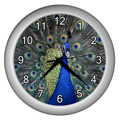 Peocock 0010 Wall Clock (Silver) from ArtsNow.com Front