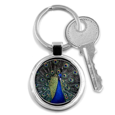 Peocock 0010 Key Chain (Round) from ArtsNow.com Front