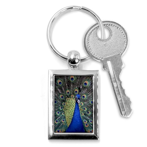 Peocock 0010 Key Chain (Rectangle) from ArtsNow.com Front